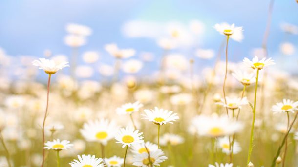 Men’s Bodyland Spring Awakening Massage